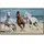 Papermoon Infrarotheizung Horse Herd Run Galopp 600 W bunt