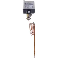 Jumo 60000482 Temperaturwächter