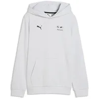 Puma Hoodie Grey 164
