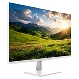 JAPANNEXT Monitor 28"