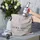 VQ China Rose 600W 4-in-1 Stabmixer