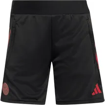adidas Fc Bayern München European Trainingsshorts 2025/26 Damen JN8644 - black M