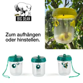 BigDean Wespenfalle Lebendfalle 3 St.