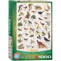 EUROGRAPHICS Puzzle EuroGraphics 6000-1259 Vögel 1000-Teile Puzzle, Puzzleteile bunt