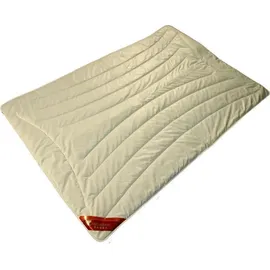 Garanta Kamelhaar-Duo-Warm-Steppbett Stärke Duo-Warm Größe 135x200 Bezug: 100% Baumwolle/Füllung: 100% Kamelhaar