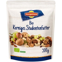 MorgenLand Kerniges Studentenfutter bio