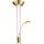 GLOBO Leonas 2-flg. messing/satin 59040