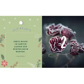Edition Michael Fischer Mein Adventskalender-Buch: Gartenliebe