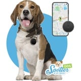 Spotter GPS-Hunde-Tracker Abonnement und wasserdicht. Der kleinste GPS-Tracker mit Aktivitätentracker, Zonen, Alarmen und Anruffunktion. Immer wissen, wo Ihr Hund gerade ist.