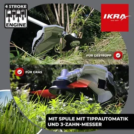 IKRA IBF 31-4