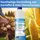 Nanoprotect Bioethanol 96,6% 1 Liter