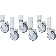 Rau Rollensatz mit Expander, 6 Lenkrollen mit Feststeller