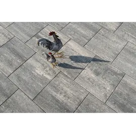 Diephaus Terrassenplatte Corso Graphit 60 x 60 x 4 cm