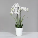 Kunstblume Orchidee - beige