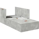 vidaXL Aufbewahrungsbettgestell 100 x 200 cm Grau