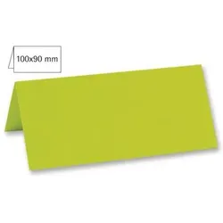 RAYHER 80009414 Tischkarte doppelt, uni, FSC Mix Credit, lindgrün, 100x90mm, 220g/m2, Beutel 5Stück