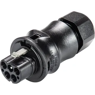 Wieland Steckverbinder RST20i5S 5polig Stecker für 6-10mm