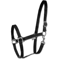 Waldhausen Halfter Perlon
