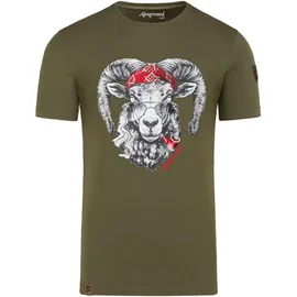 Almgwand Ogrisalm helloliv (49) M