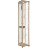 fif möbel Vitrine OPTIMA Standvitrine/Glasvitrine 1x Glastür,perfekt für Sammler,Sammlervitrine braun