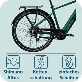 Tretwerk Onyx 2023 28 Zoll RH 52 cm dunkelgrün metallic
