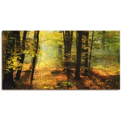 Wandbild ARTLAND "Herbstlicht im Wald", grün (farbe bild(er): grün), B:100cm H:50cm, Canvas, Leinwand, Bilder, als Leinwandbild, Poster, Wandaufkleber in verschied. Größen