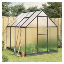 vidaXL Gewächshaus mit Fundamentrahmen Anthrazit 224x169x202 cm Alu