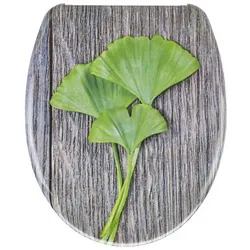 WC-Sitz Gingko mit Absenkautomatik