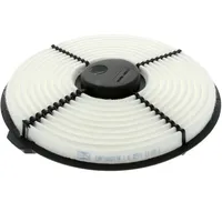 Champion Luftfilter CAF100211R