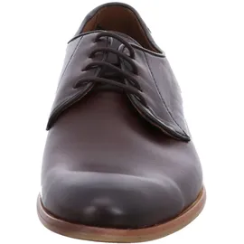 LLOYD TERRY braun 46