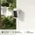 Ring Outdoor Camera Plus Plug-In Weiß
