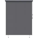 vidaXL Outdoor Rollo Striped 200 x 250 cm grau