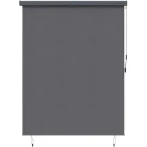vidaXL Outdoor Rollo Striped 200 x 250 cm grau