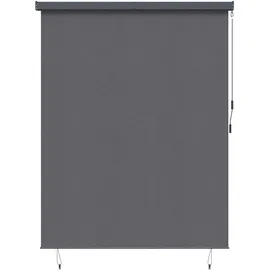 vidaXL Outdoor Rollo Striped 200 x 250 cm grau