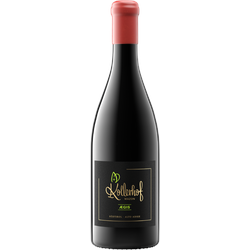 Pinot Nero Riserva AEGIS 2019, Kollerhof