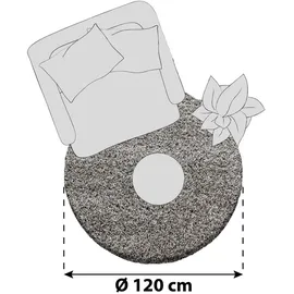 Ayyildiz Dream Shaggyteppich Ø 120 cm taupe
