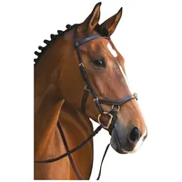 Horseware Rambo Micklem MULTI - braun WB)