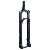 DT Swiss F 232 One 29 Zoll 120 mm Schwarz