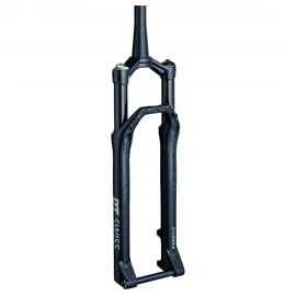 DT Swiss F 232 One 29 Zoll 120 mm Schwarz