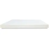 Dibapur® Schaumstoffplatte S-RG25/44 Polster Auflage Schaumstoff 70 x 200 cm 1