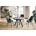 EVO 120 cm bis 220 cm graphit