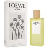 Loewe Agua de Loewe Eau de Toilette