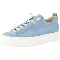 Paul Green 5017 sky 40,5