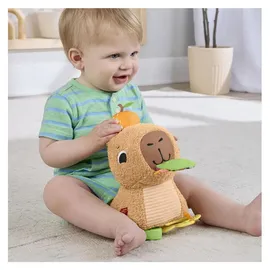 Fisher-Price Kuschel-Capybara 24 cm Bunt
