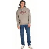 Reell Hoodie Grau S
