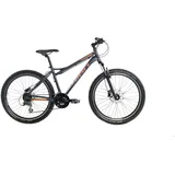 SIGN Mountainbike 2020 26 Zoll RH 42 cm matt napoleon