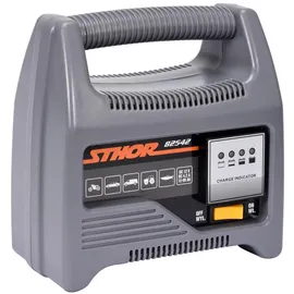 STHOR Toya, Autobatterie Ladegerät, STHOR Įkroviklis 12V 6A 90Ah LED (90 A, 12V)
