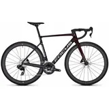 Focus Izalco Max 8.9 2026 28 Zoll RH XXL Unisex rot/schwarz