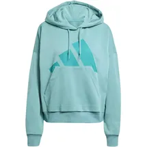 adidas Damen Essentials Big Logo French Terry Loose Hoodie, Powder Teal, XS