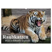 Calvendo Raubkatzen. Wild, schön und kraftvoll (Wandkalender 2026 DIN